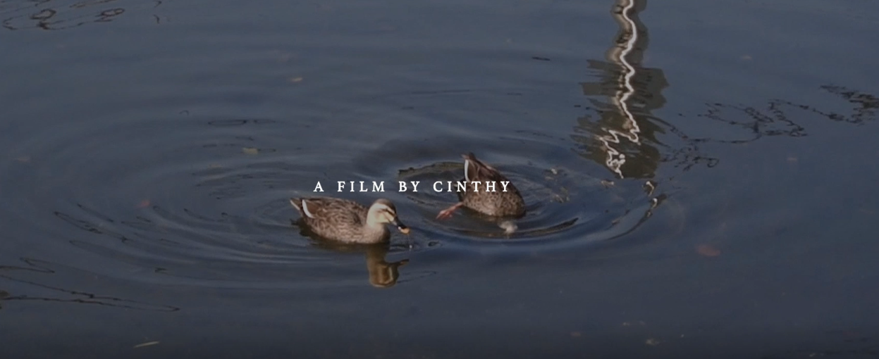 Woosong University Short-Form Video Contest Special Award Cinthy